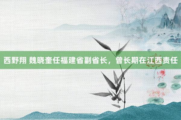 西野翔 魏晓奎任福建省副省长，曾长期在江西责任