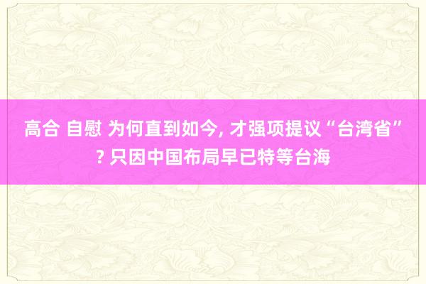 高合 自慰 为何直到如今, 才强项提议“台湾省”? 只因中国布局早已特等台海