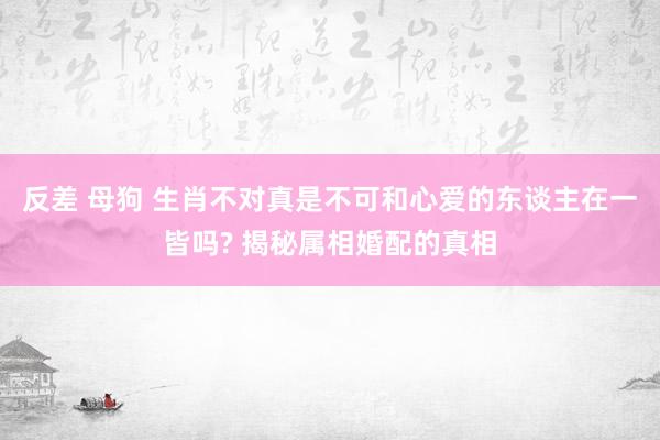 反差 母狗 生肖不对真是不可和心爱的东谈主在一皆吗? 揭秘属相婚配的真相